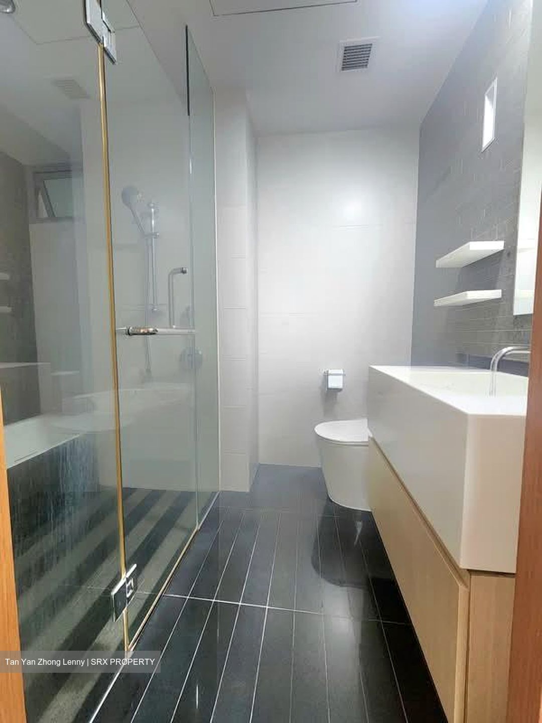 Park Infinia At Wee Nam (D11), Condominium #577935421
